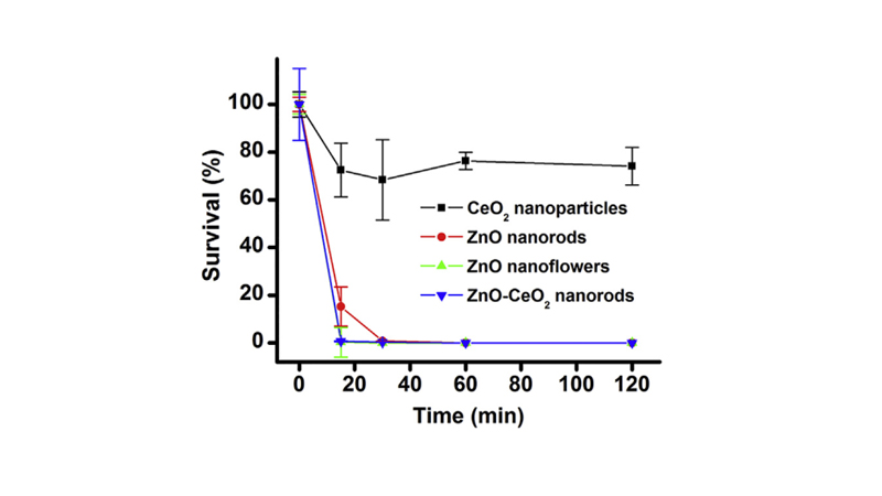 نتایج سنجش زمان - کشتن نانوذرات CeO2، نانومیله‌های ZnO، نانوگل‌های ZnO و نانومیله‌های کامپوزیت ZnO-CeO2 در برابر باکتری اشریشیاکلی.