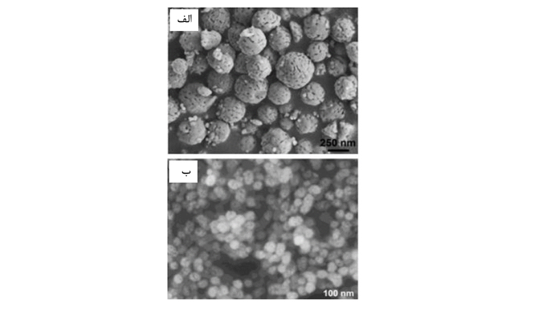 میکروگراف SEM نانوذرات پودر آلومینا (آلفاآلومینا) با غلظت Al3+ ، الف) 10 میلی‌مول بر لیتر ب) 5/0 میلی‌مول بر لیتر.